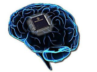 给大脑植入芯片 增强记忆不是梦_大比特商务网