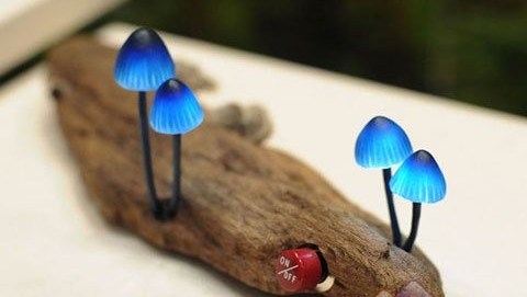 野生蘑菇智能LED灯