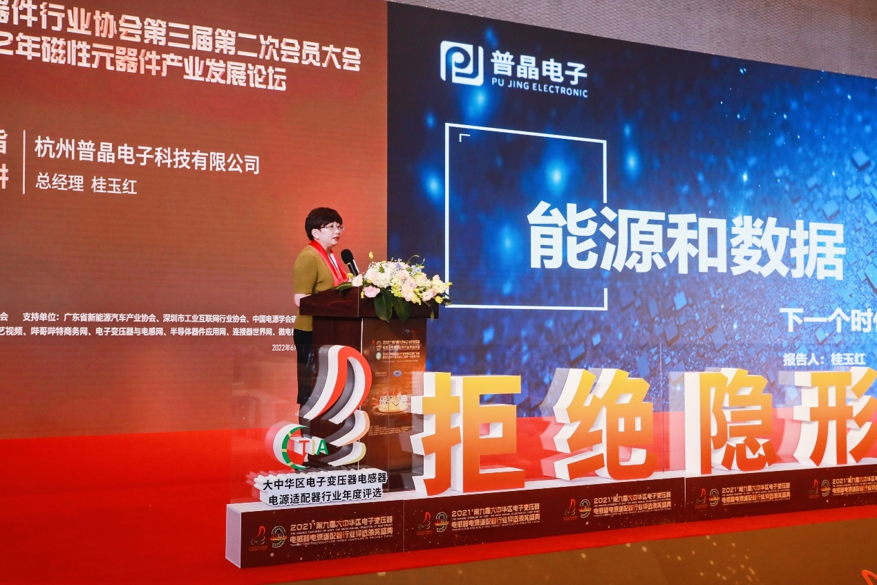 杭州普晶电子科技有限公司总经理桂玉红
