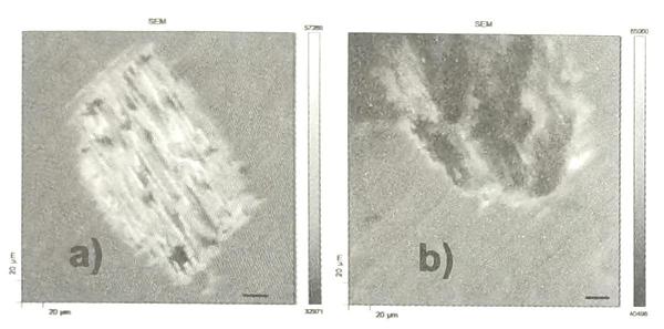 扫描电子显微图（SEM）：a）500次微振和b）5000次微振在光亮Ni（3kv，10NA）镀层上的磨痕；图像显示刻度为20μm。