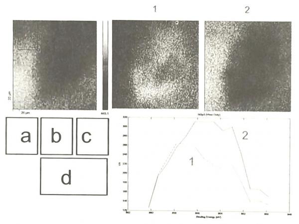 经过润滑的亚光镍镀层500次微振后的Ni元素XPS图。a）全局图b）磨痕光谱内部，c）磨痕光谱外部，d）对应的光谱：BE从862到848eV，2eV刻度。