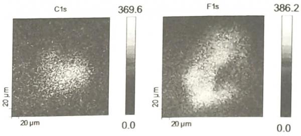 润滑的亚光镍500次微振后的C和F XPS图